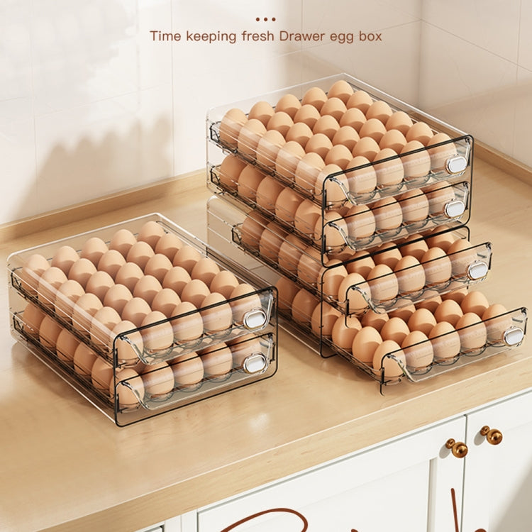 Extra Large Double Layer 60 Grid Egg Storage Box PET Transparent Multi-Specification Egg Box by bashfashion