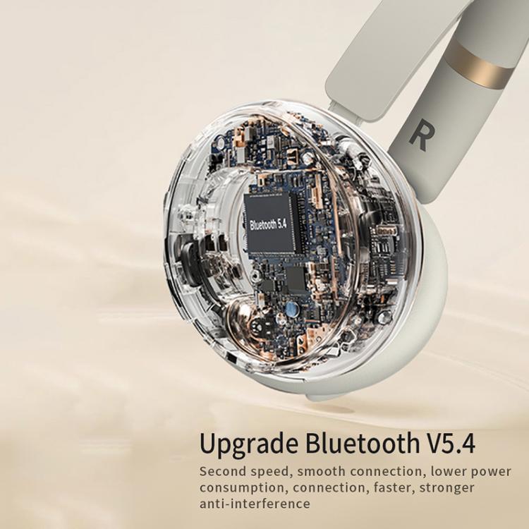 Dmooster D19 Pro ANC and EDC Noise Reduction Bluetooth Headphones(Black) by D MOOSTER