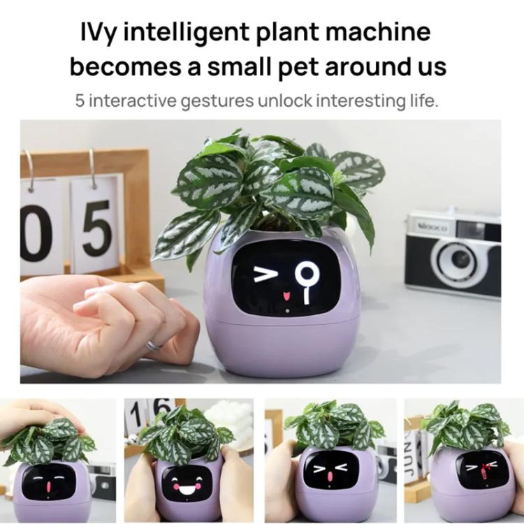 Smart Plant Pot With Multi-Sensors WiFi Plant Monitor With 2-Inch Screen Compatible With Mi/Tuya Home Ecosystem(Yellow) by bashfashion